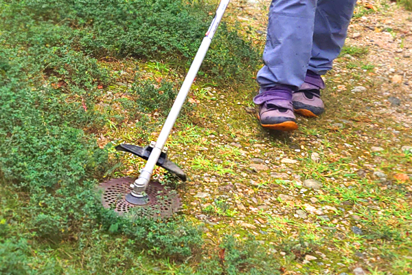 草刈りの作業風景