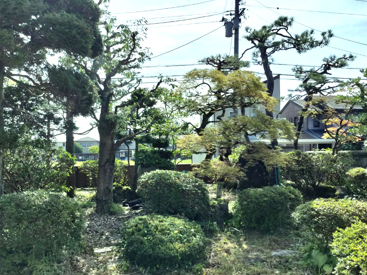 施工後：木が整った状態