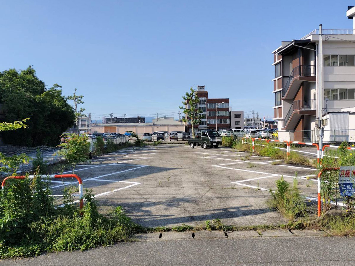 施工前：草が伸びた状態