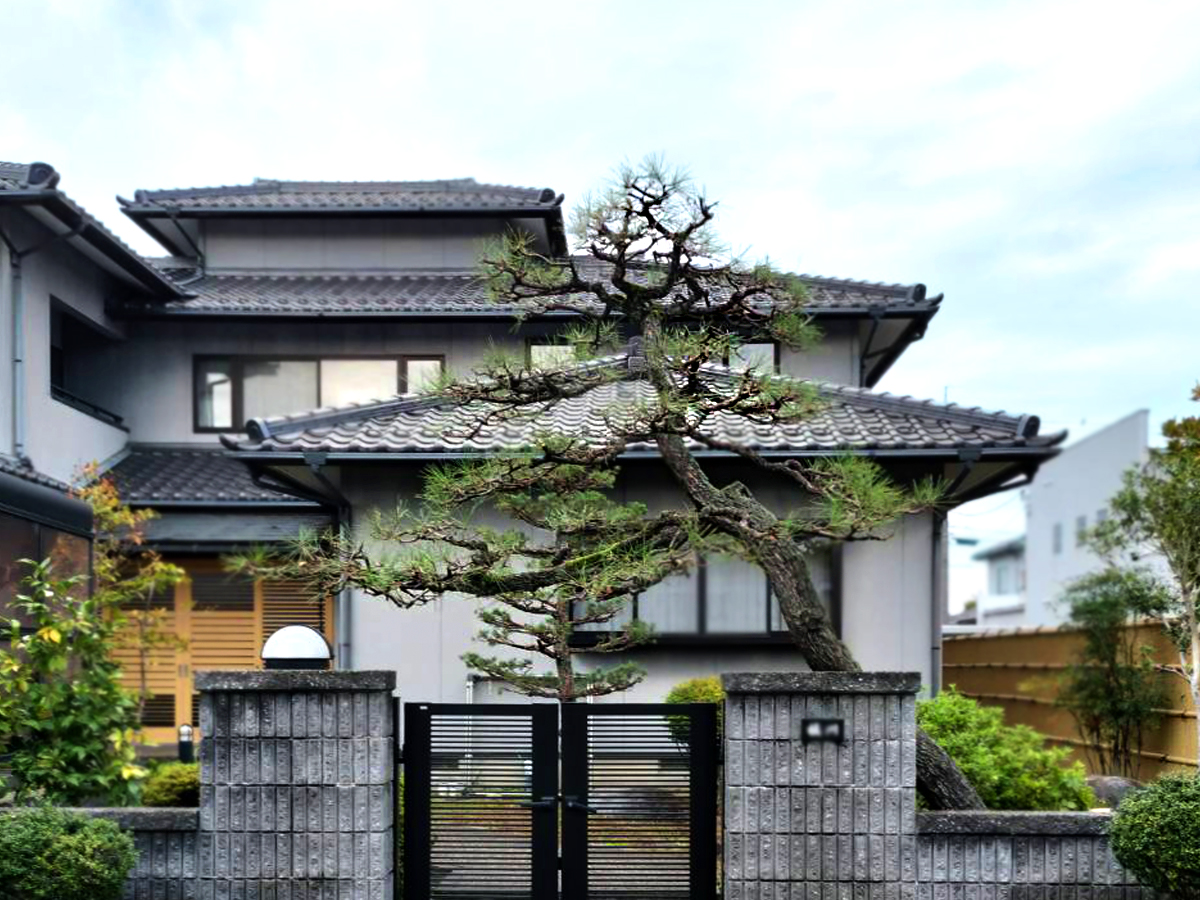 施工後：木が整った状態