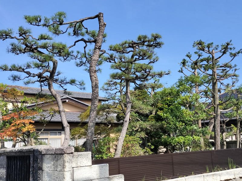 施工事例ページ